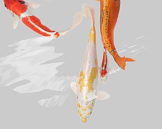 经典恋爱冒险重制《心之彼端》新艺图 2025年登陆NS＆Steam